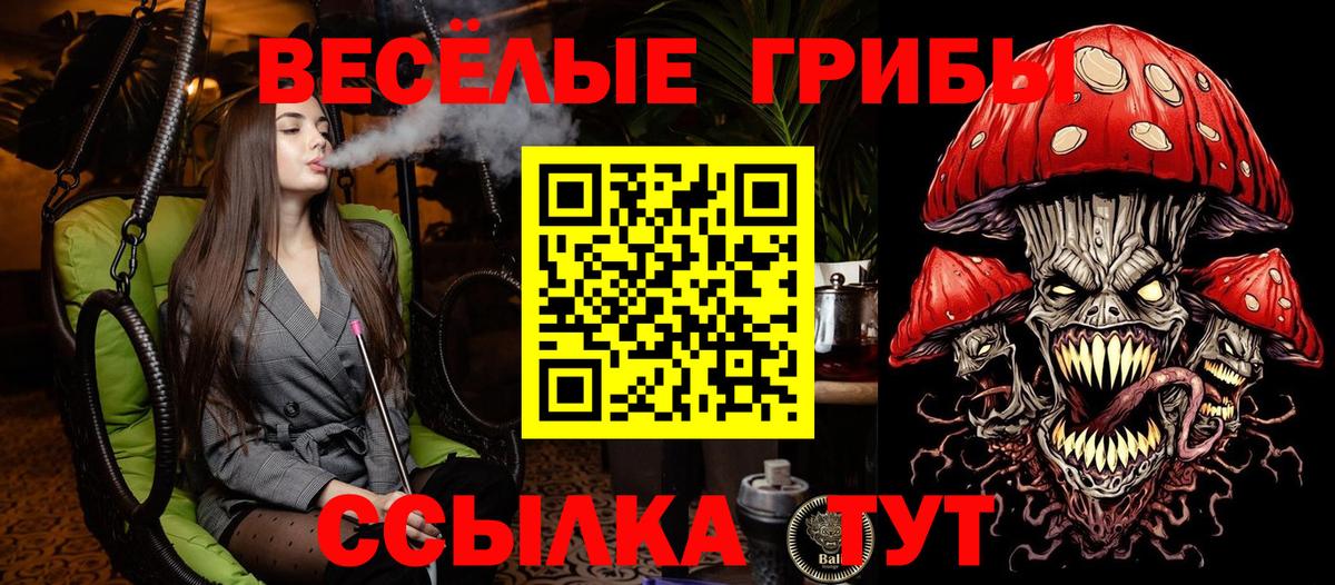 Галлюциногенные грибы прущие грибы Кингисепп