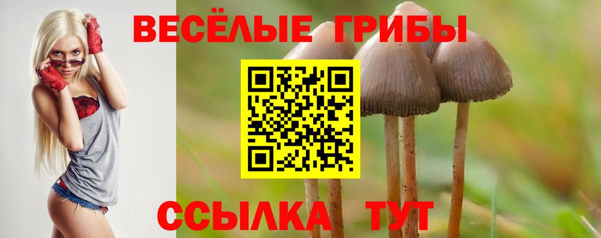МЕФ  Кингисепп  МЕФ   Кокаин  Вход с VPN  ТГК  Канабис  ГАШ 